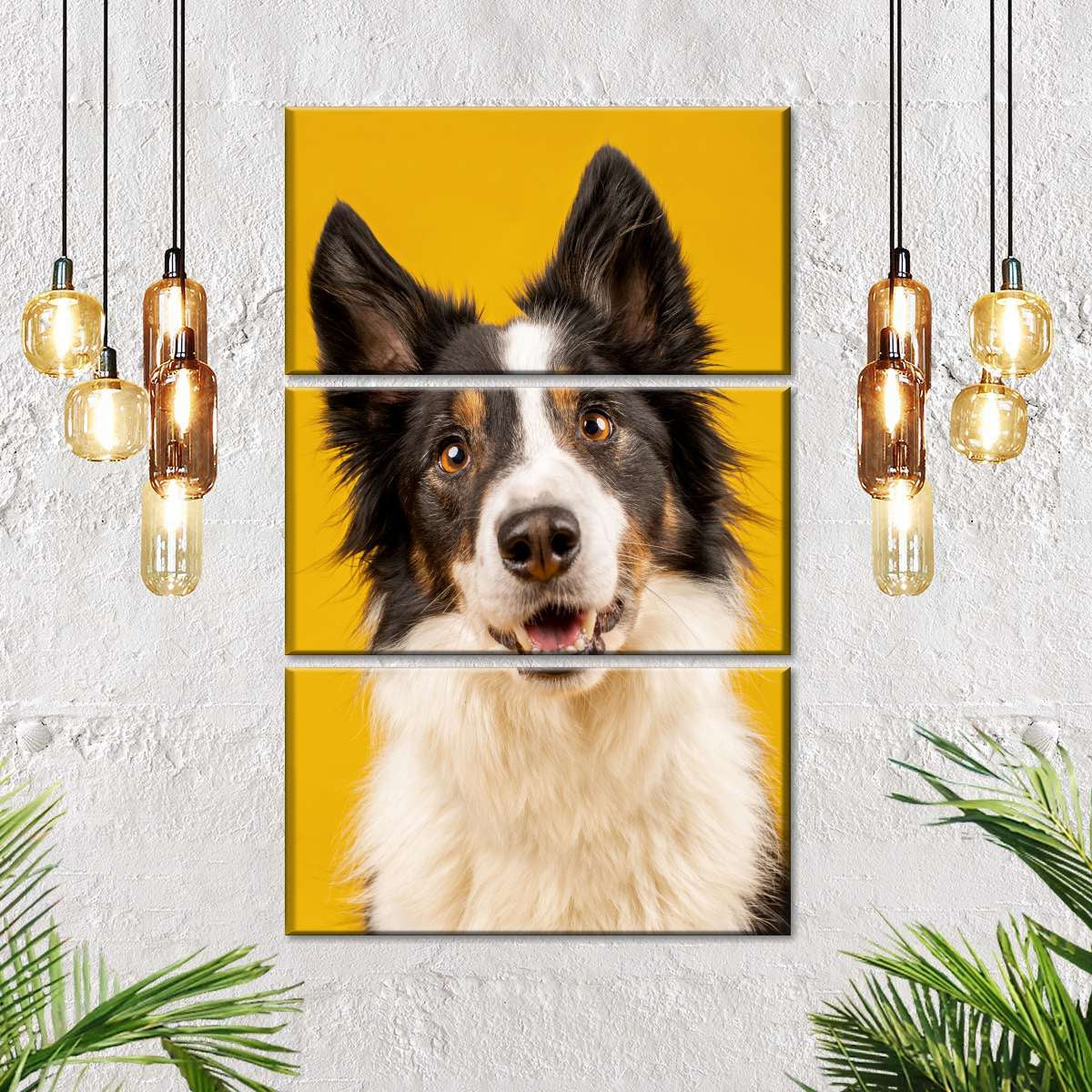 Furry Wall Art for Sale