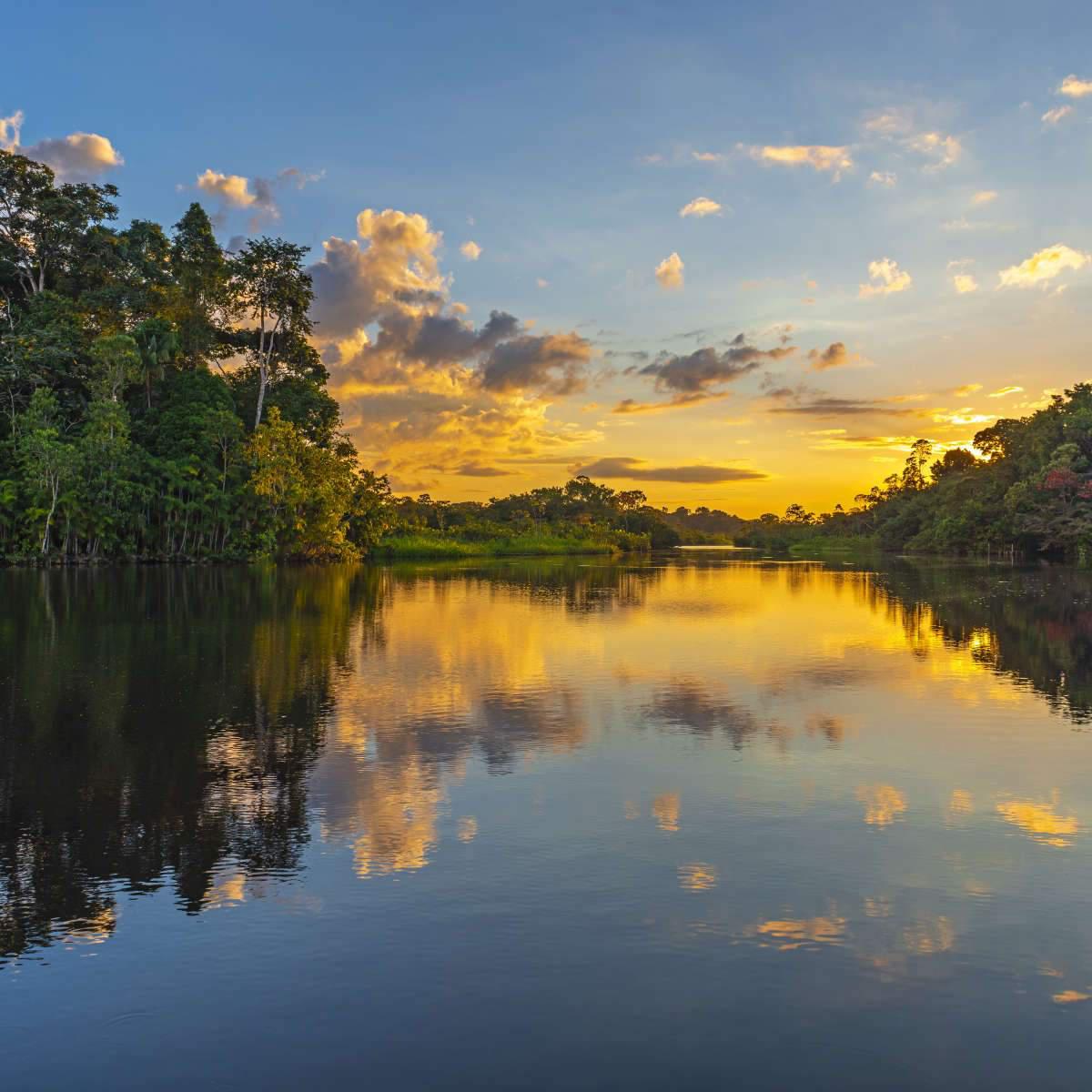 Amazon River Wall Art