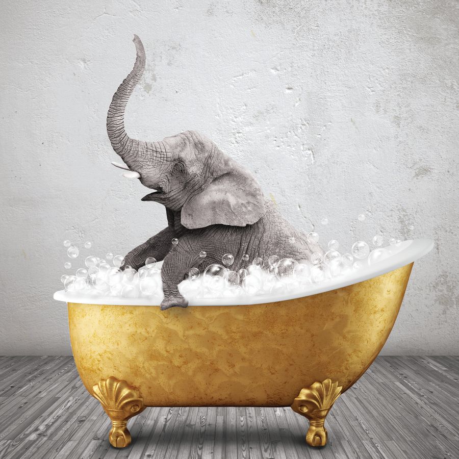 Bathtub Animals Wall Art | Prints, Framed Prints And Multi Panel Art