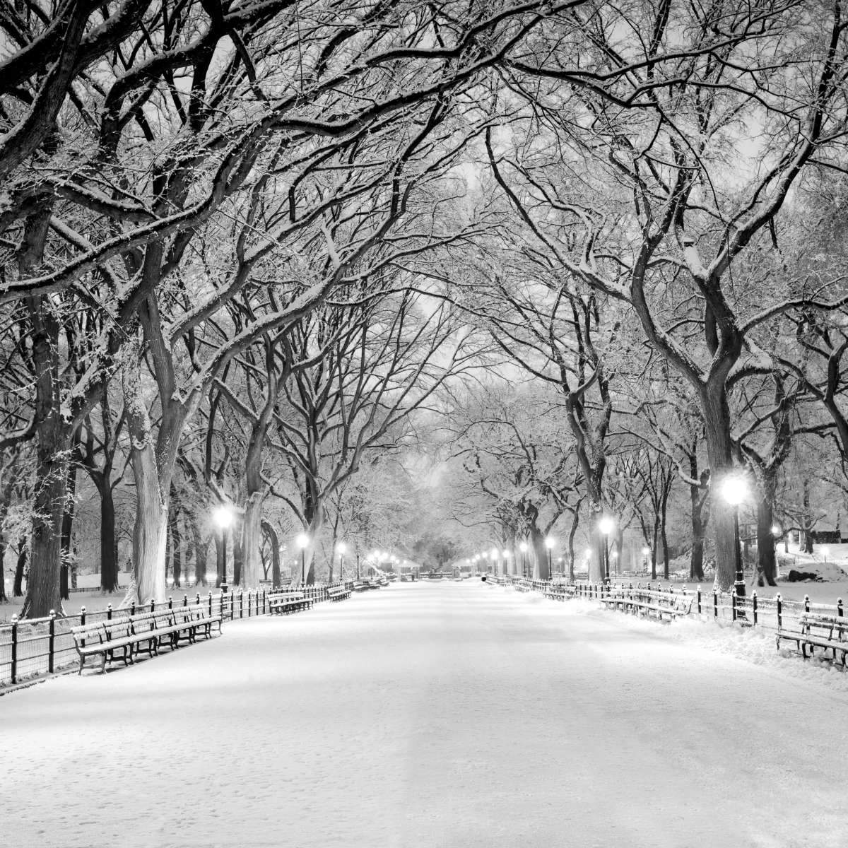 Central Park Wall Art Canvas Prints Art Prints And Framed Canvas