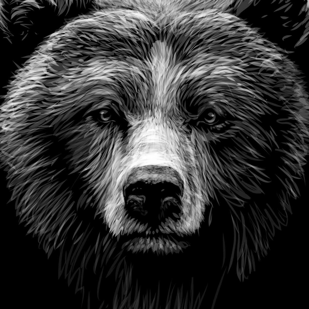 Brown bear Drawing Grizzly bear Sketch, bear, mammal, pencil png | PNGEgg