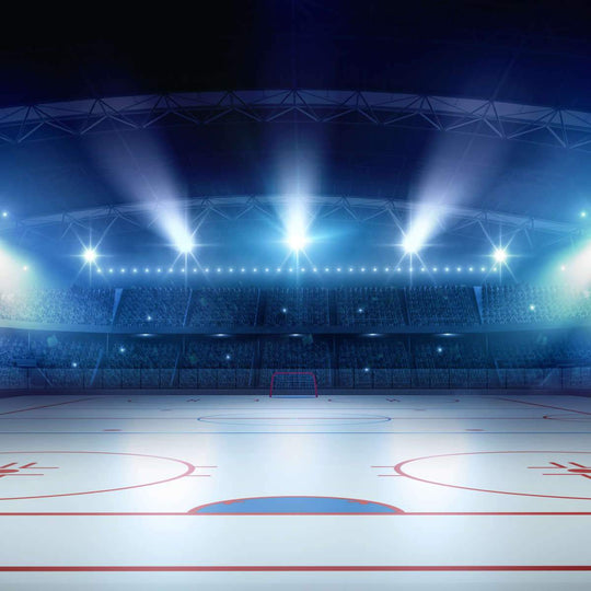 Hockey Stadium Art: Canvas Prints, Frames & Posters