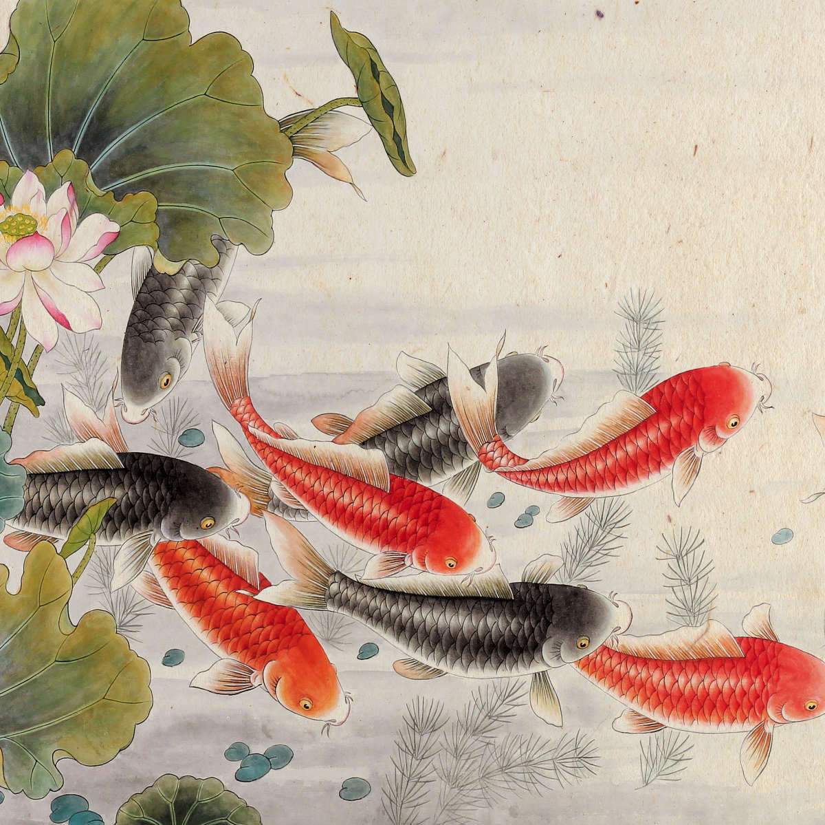 White Koi Carp Fish In a Pond Wall Art. Watercolor painting 11,5