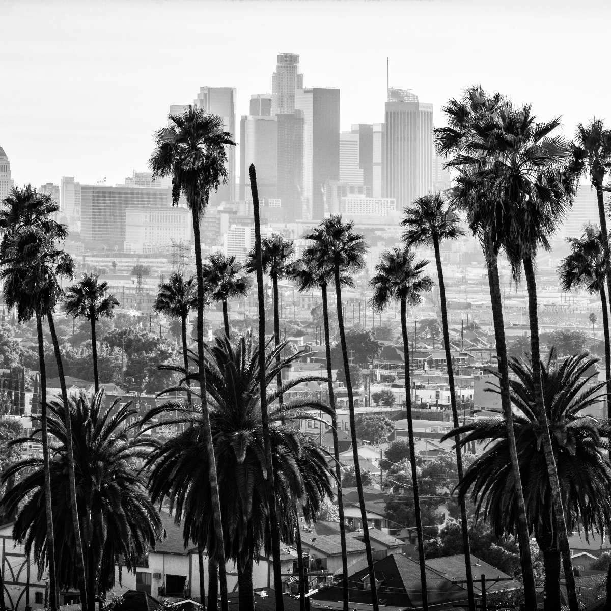 los angeles skyline black and white drawing