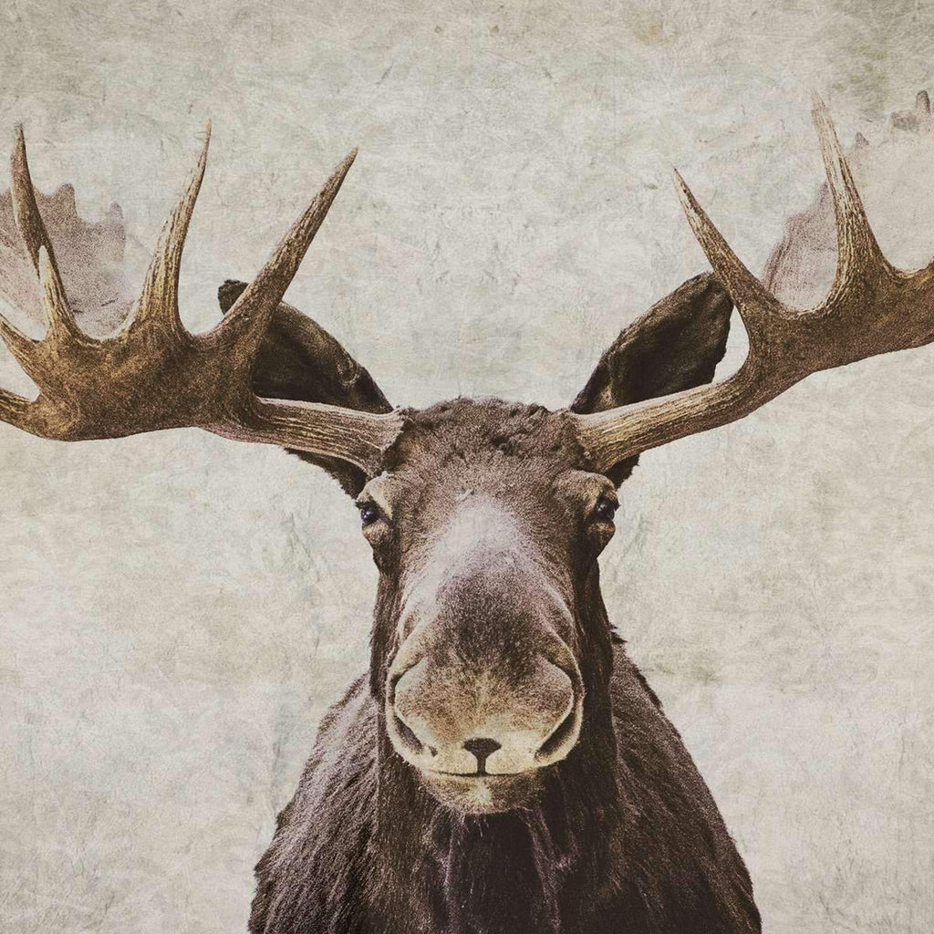14+ Metal Moose Wall Art