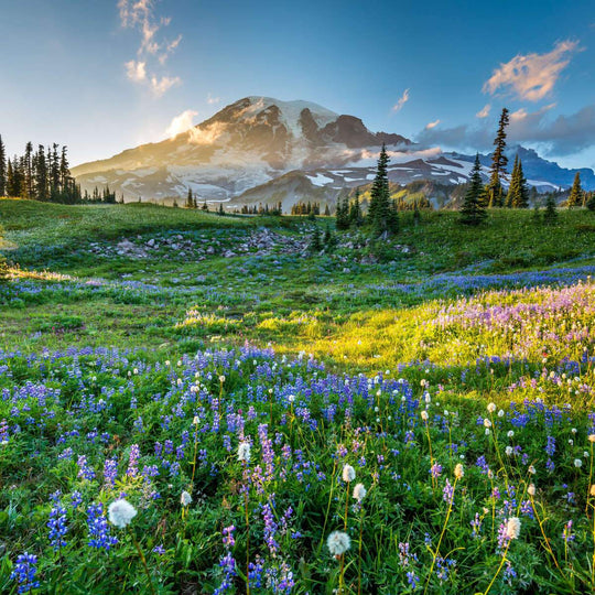 Grand Teton Wall Art: Canvas Prints, Art Prints & Framed Canvas