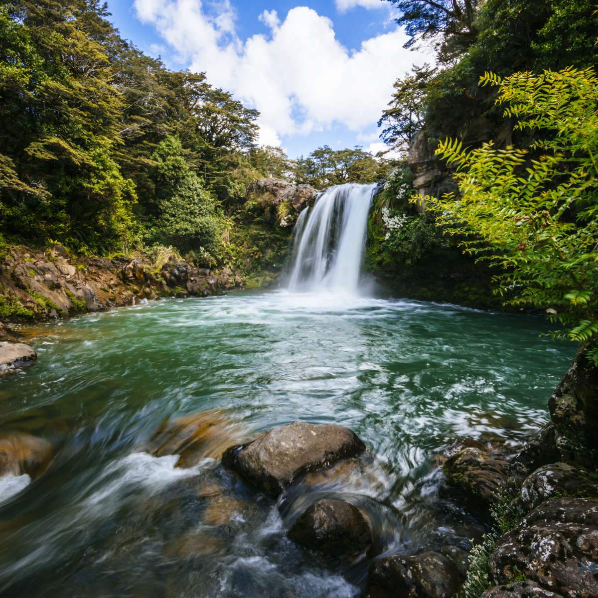 North Island Wall Art