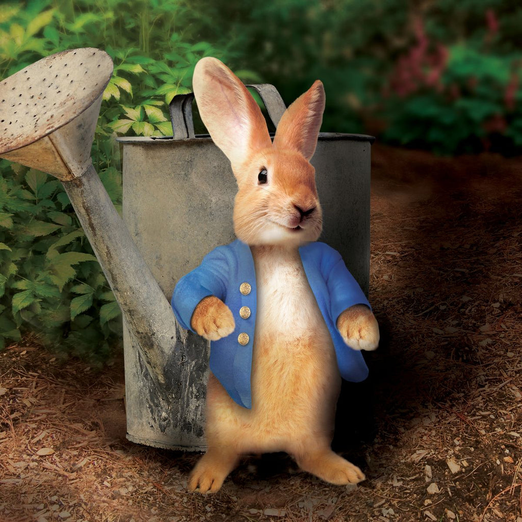 Peter Rabbit Wall Art | Prints, Framed Prints And Multi Panel Art