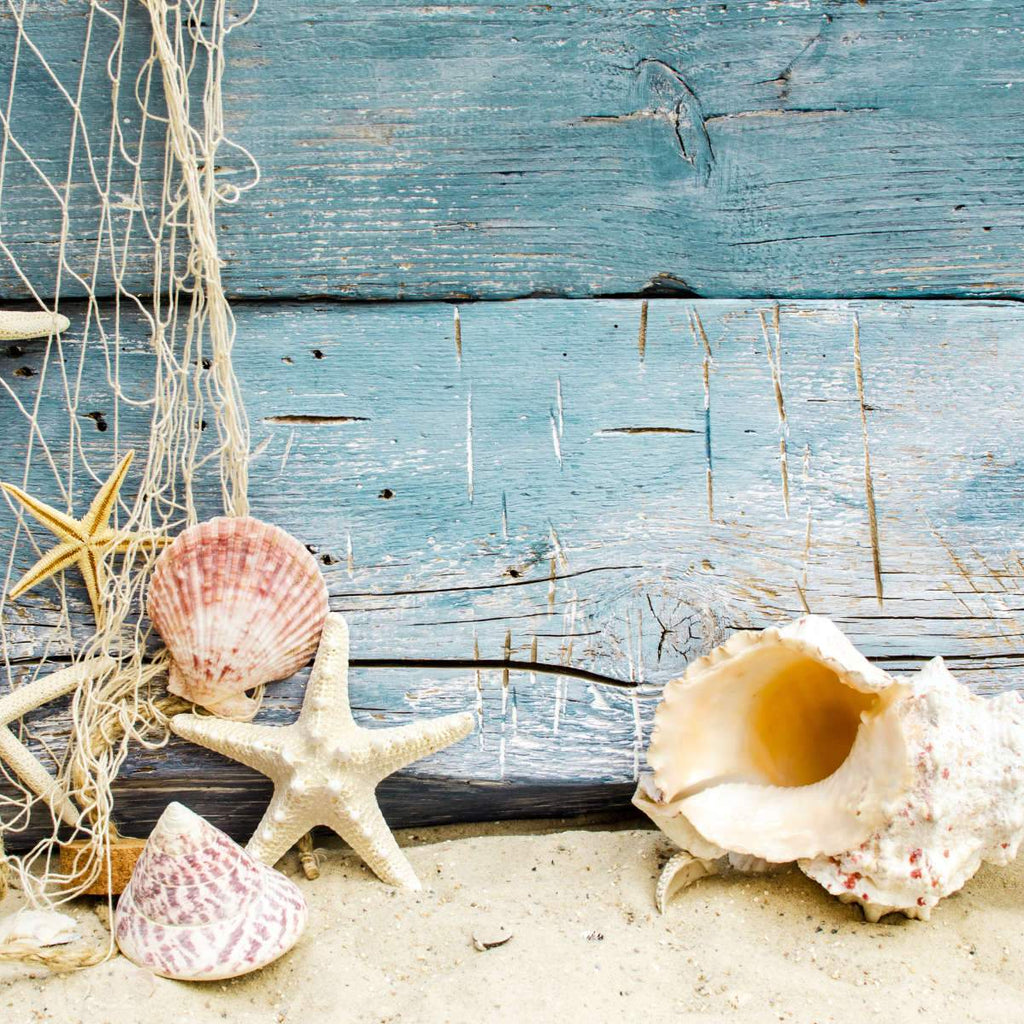 Starfish Shell Beach Decor, 1 piece per purchase, Styles vary 