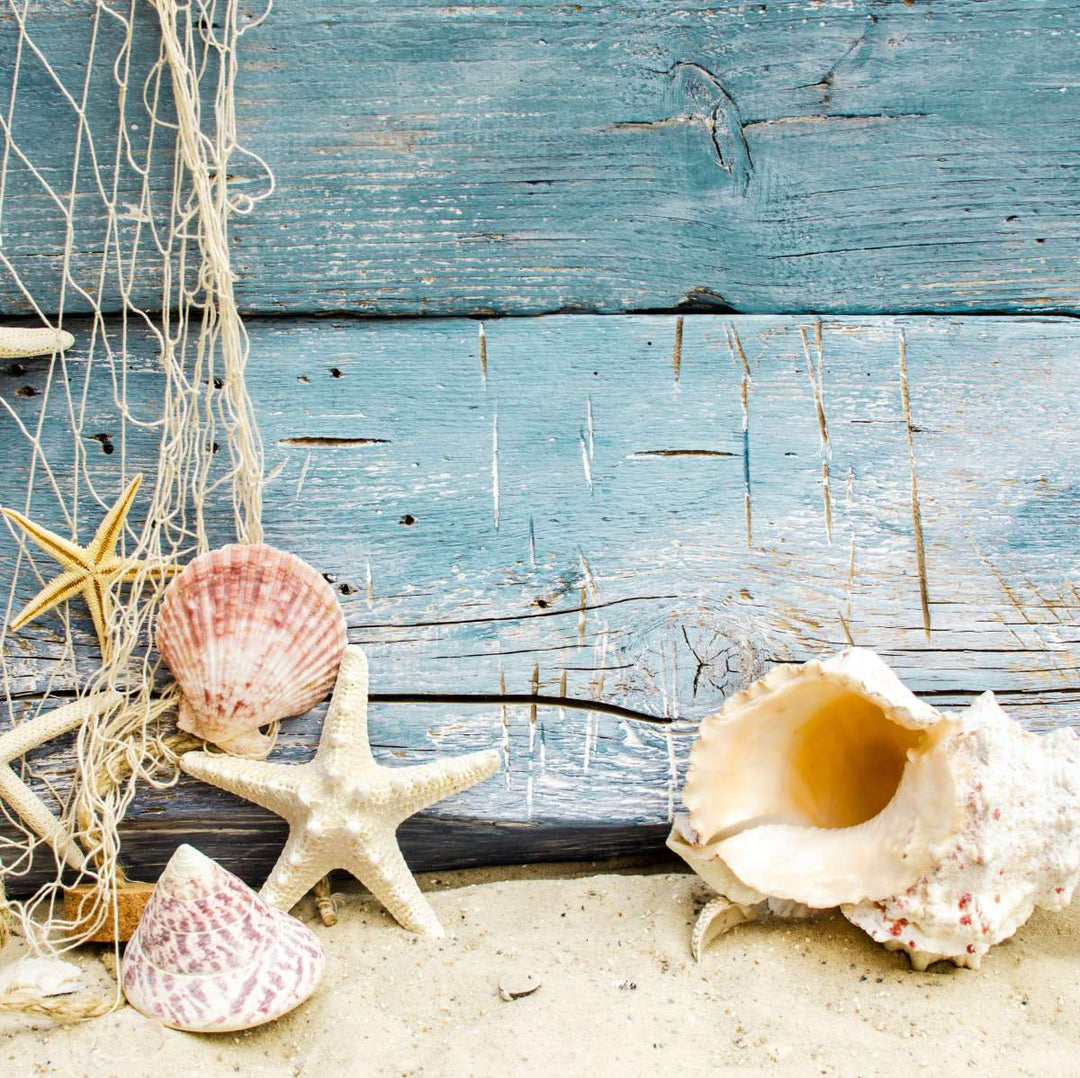 Nautical Seaside Treasures Wall Art: Canvas Prints, Art Prints & Framed ...