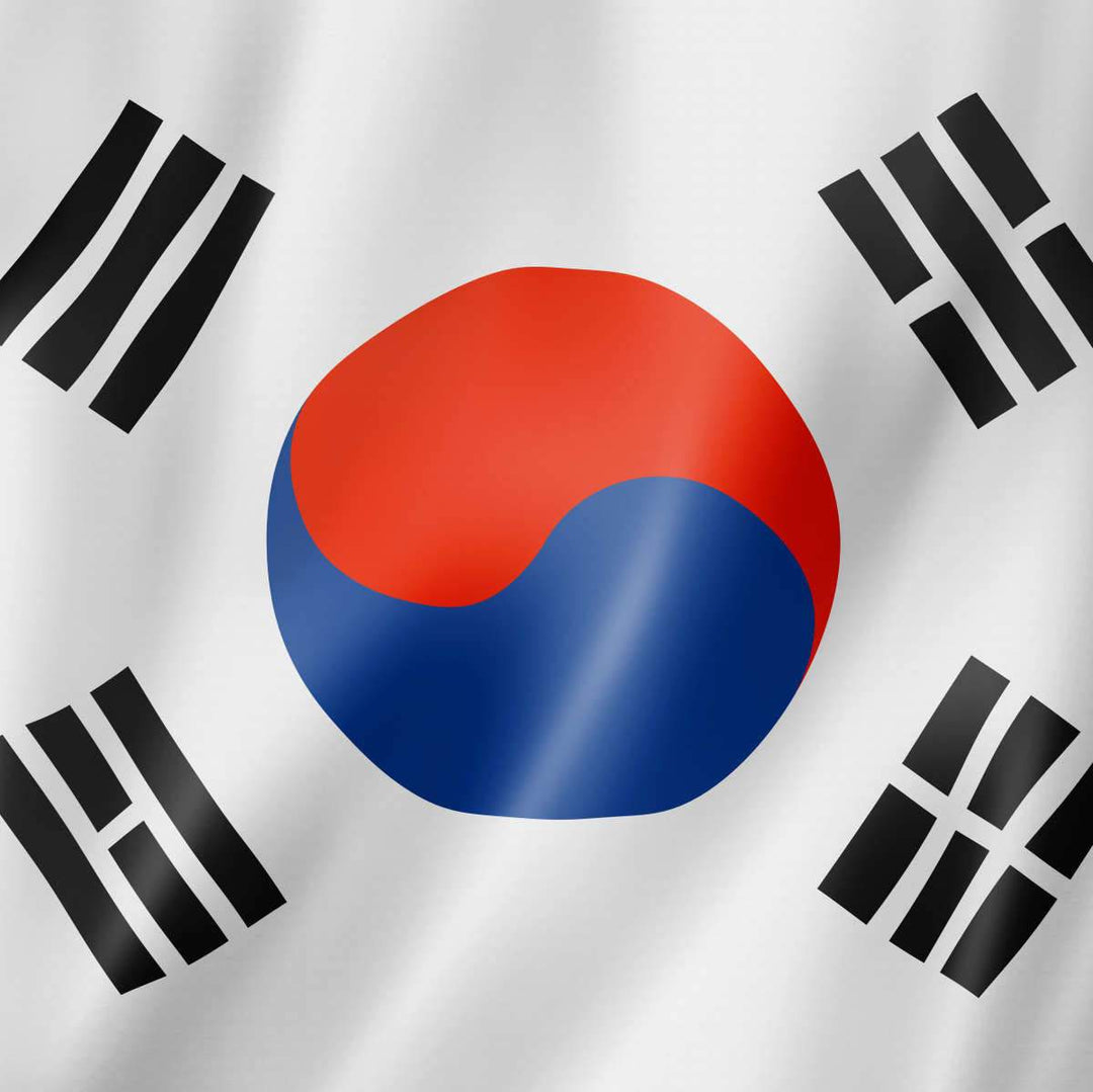 South Korea Flag Art: Canvas Prints, Frames & Posters