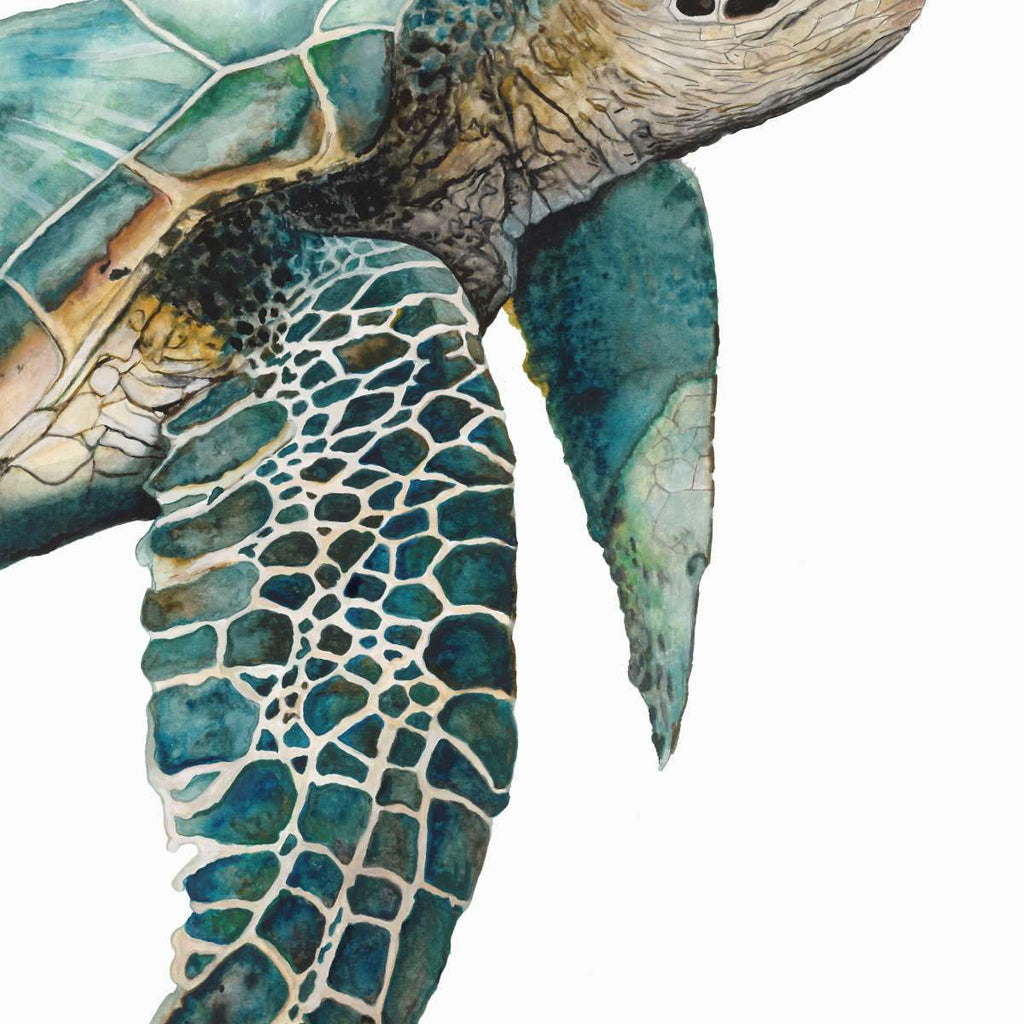 sea turtle art