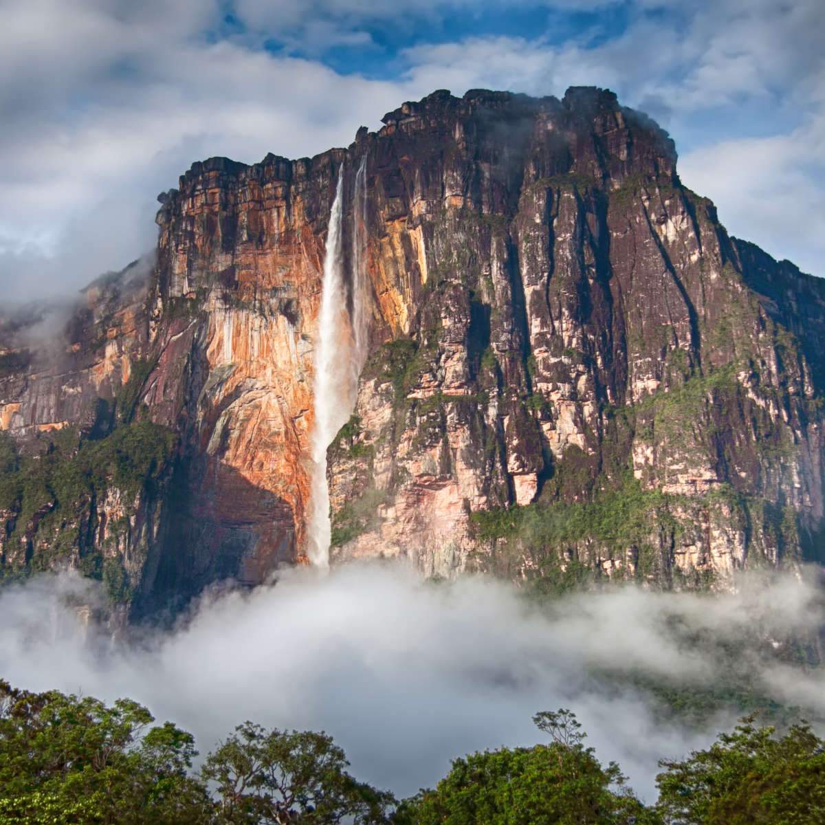 Venezuela Wall Art