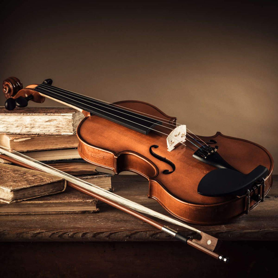 Violin And Piano Instruments Wall Art | Photography